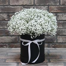 Цветочная композиция из Гипсофила в шляпной коробке в Гусеве