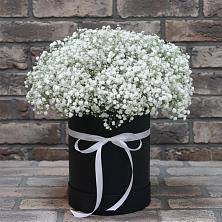 Цветочная композиция из Гипсофила в шляпной коробке в Гусеве