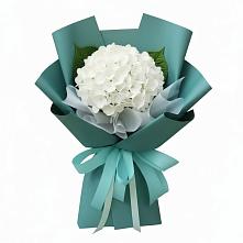 Букет цветов из:  Гортензия в Гусеве